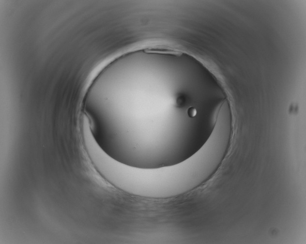 X0000112470912200909071130