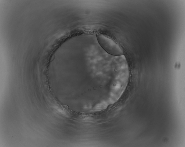 X0000112470913200909071129