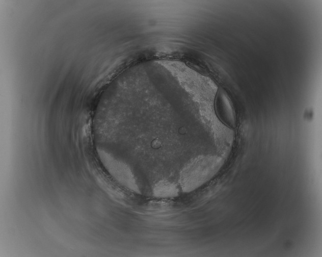 X0000112470914200909071129