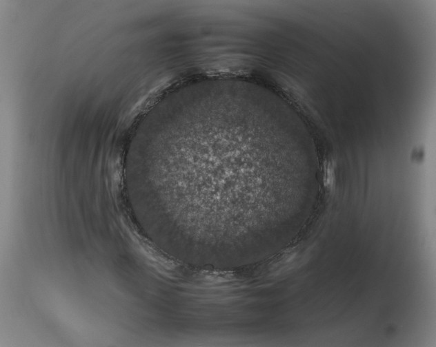 X0000112470915200909071129