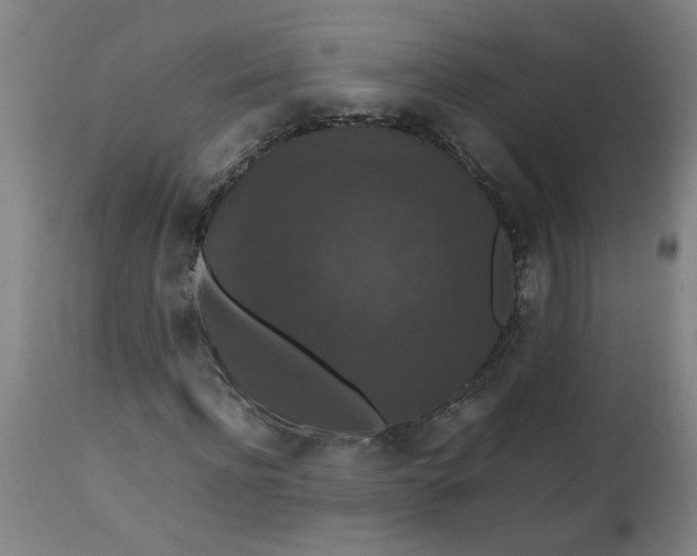 X0000112470916200909071129