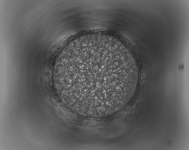 X0000112470917200909071129