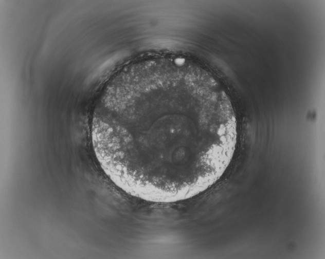 X0000112470918200909071129