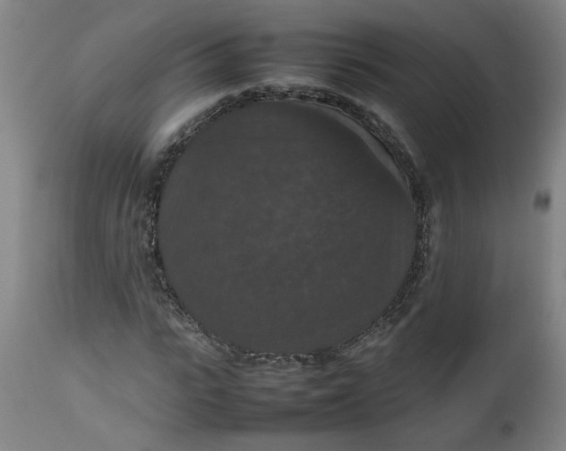 X0000112470919200909071129