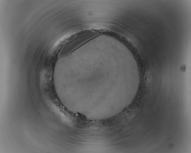 X0000112470920200909071129