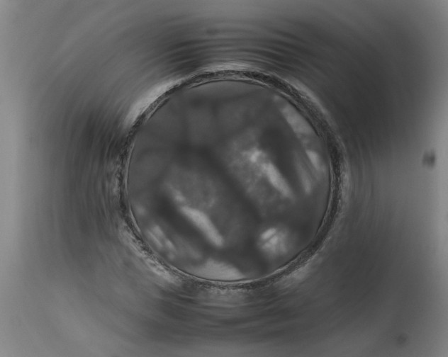 X0000112470921200909071129