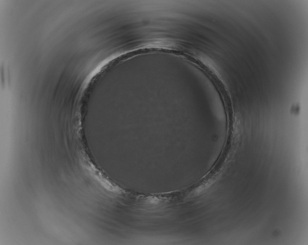 X0000112470923200909071129