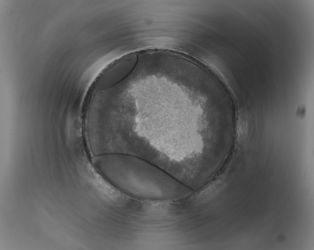 X0000112470924200909071129