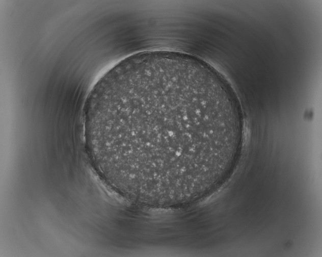 X0000112470925200909071129