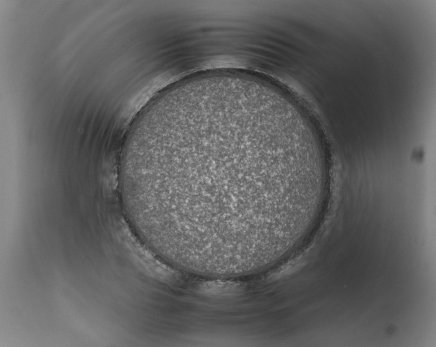 X0000112470929200909071129