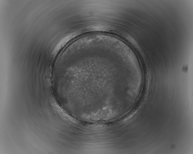 X0000112470930200909071130