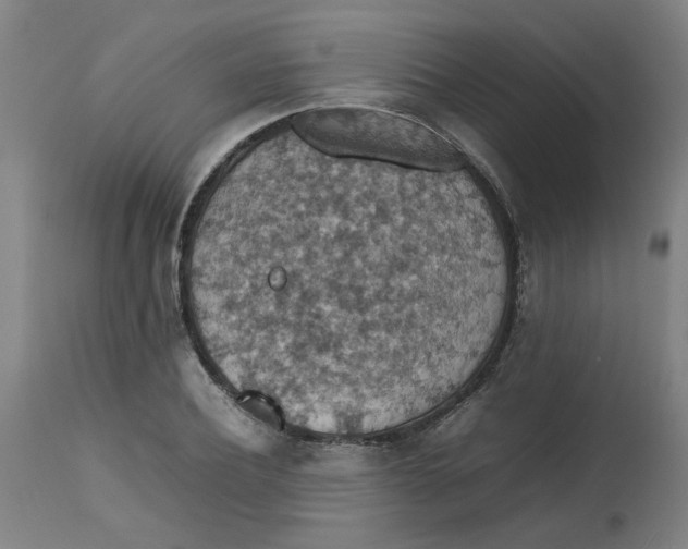 X0000112470932200909071130