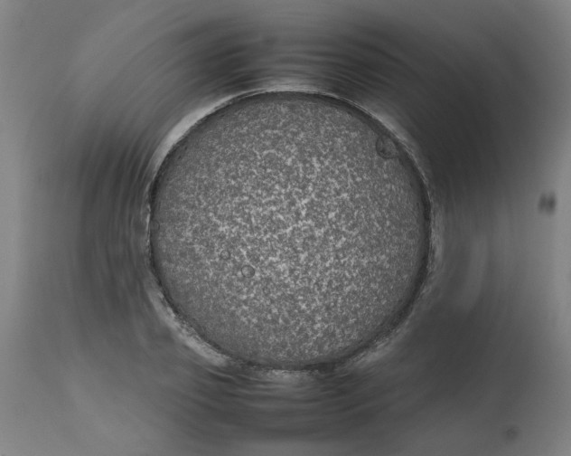 X0000112470933200909071130