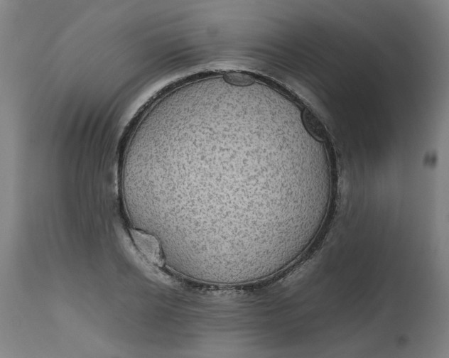 X0000112470934200909071130