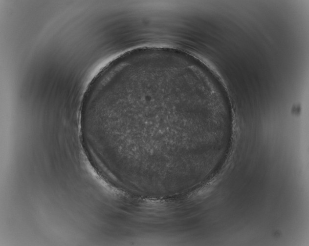 X0000112470935200909071130