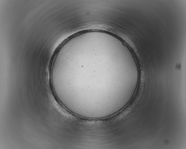 X0000112470936200909071130