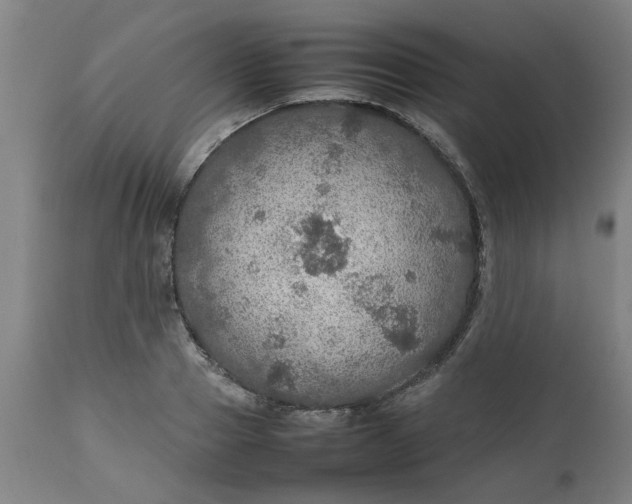 X0000112470937200909071130