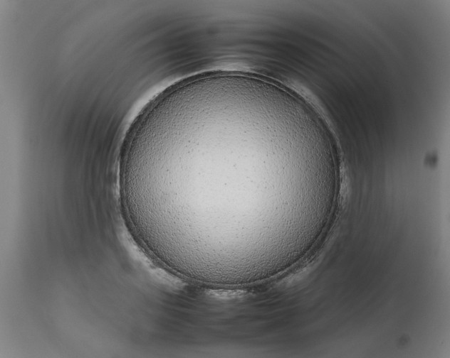 X0000112470939200909071130