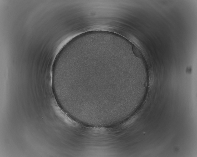 X0000112470940200909071130