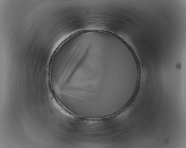 X0000112470941200909071130