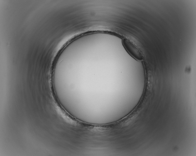 X0000112470942200909071130