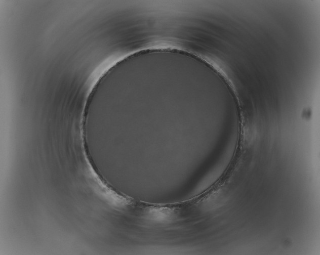 X0000112470943200909071130