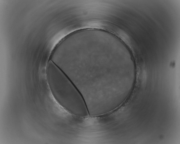 X0000112470944200909071130