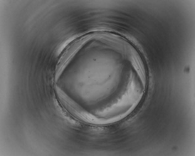 X0000112470945200909071130