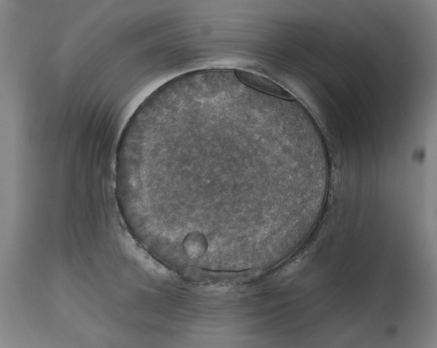 X0000112470948200909071130