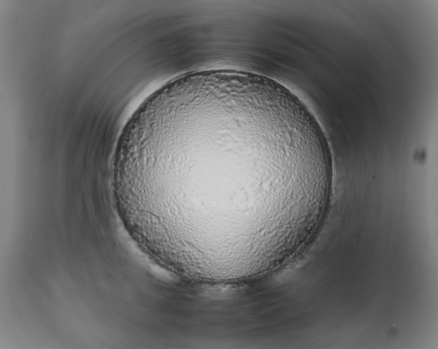 X0000112470949200909071130