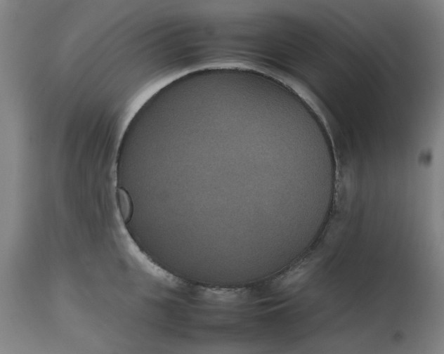 X0000112470951200909071130