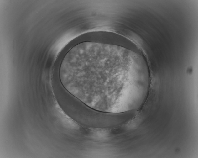 X0000112470952200909071130