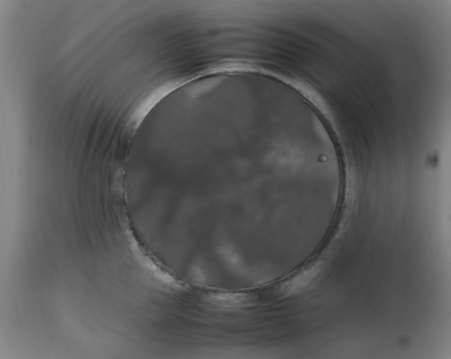 X0000112470953200909071130