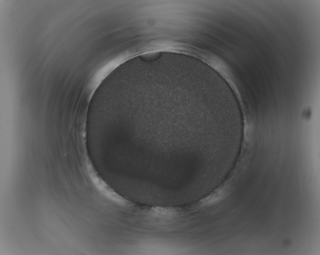 X0000112470954200909071130