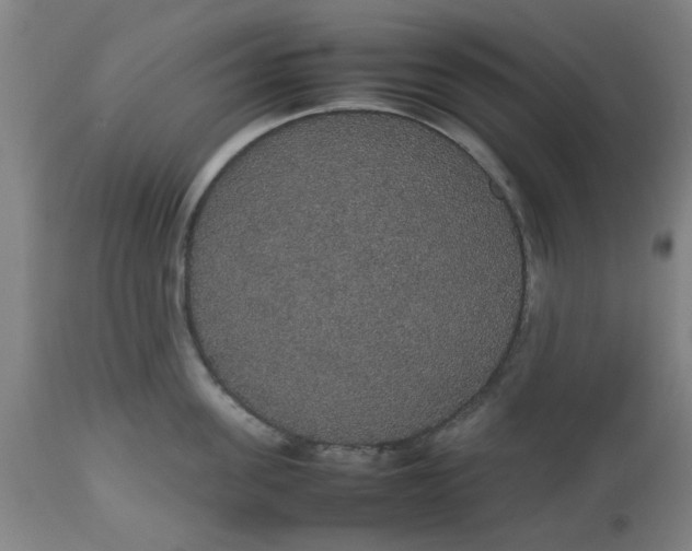 X0000112470955200909071130