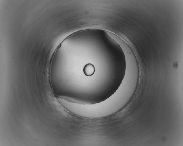 X0000112470956200909071130