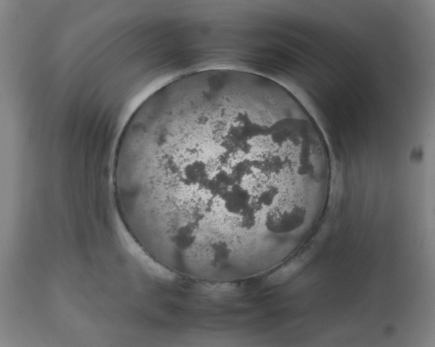 X0000112470957200909071130