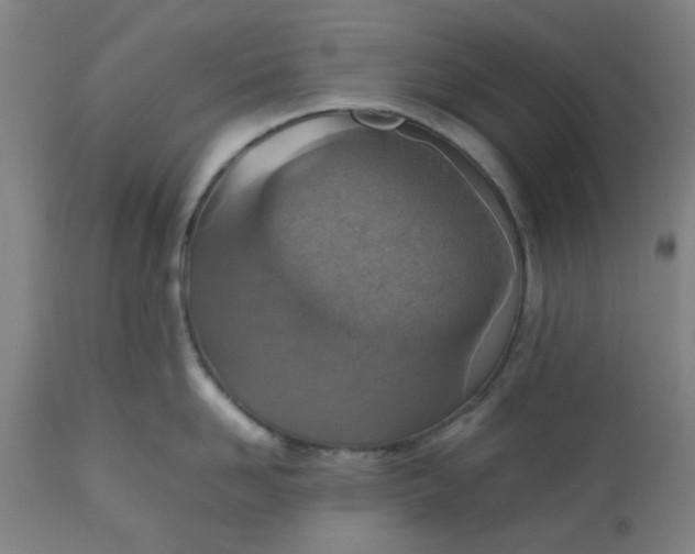 X0000112470958200909071130