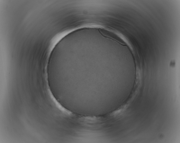 X0000112470959200909071130