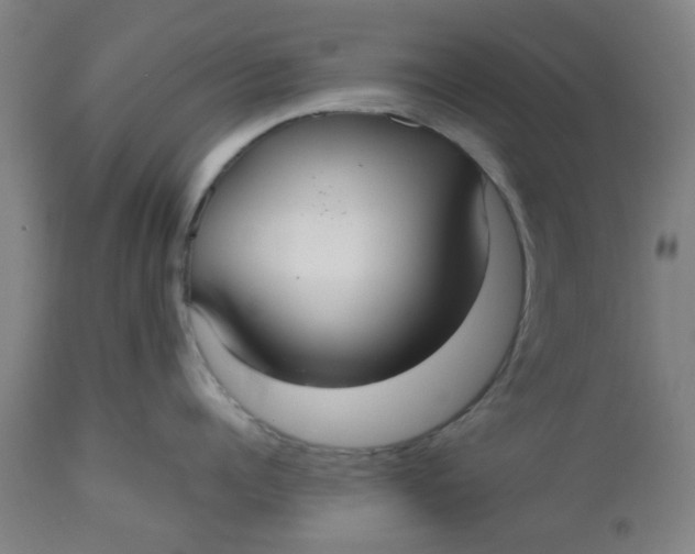 X0000112470960200909071130