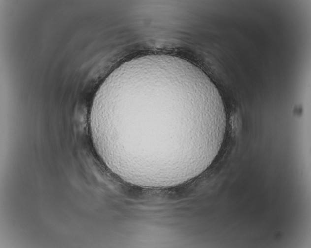 X0000112470963200909071129