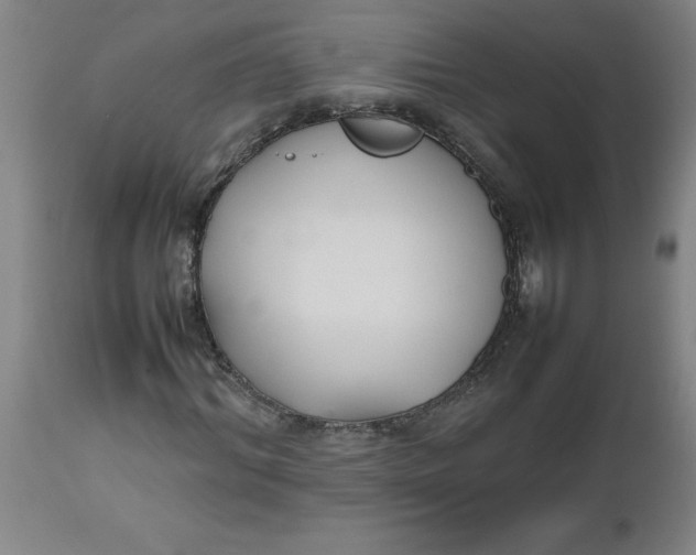 X0000112470964200909071129