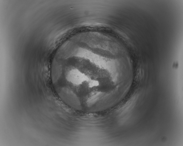 X0000112470966200909071129