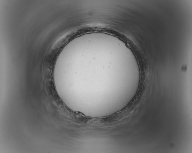 X0000112470967200909071129