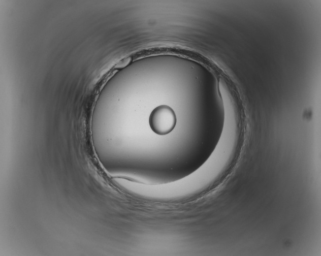 X0000112470969200909071129