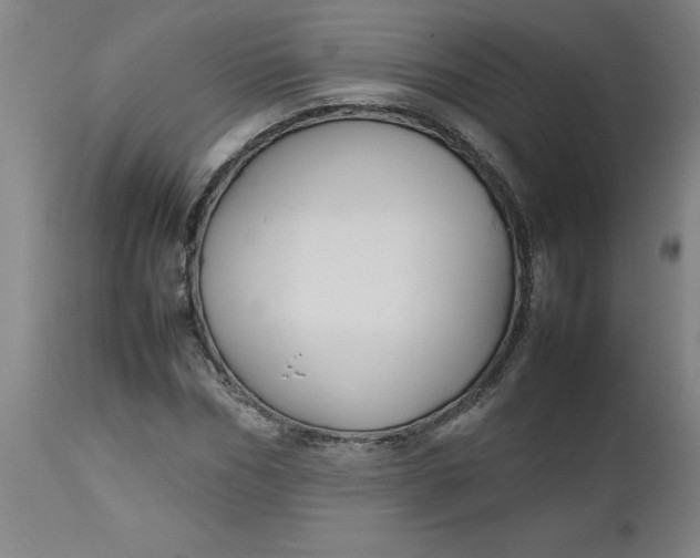 X0000112470970200909071129