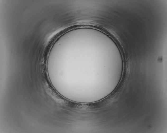 X0000112470971200909071129