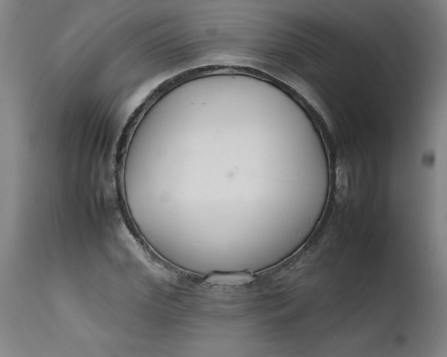 X0000112470972200909071129