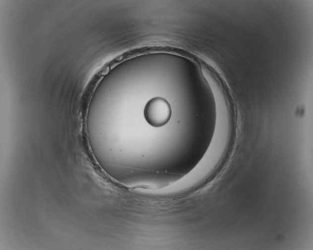 X0000112470973200909071129