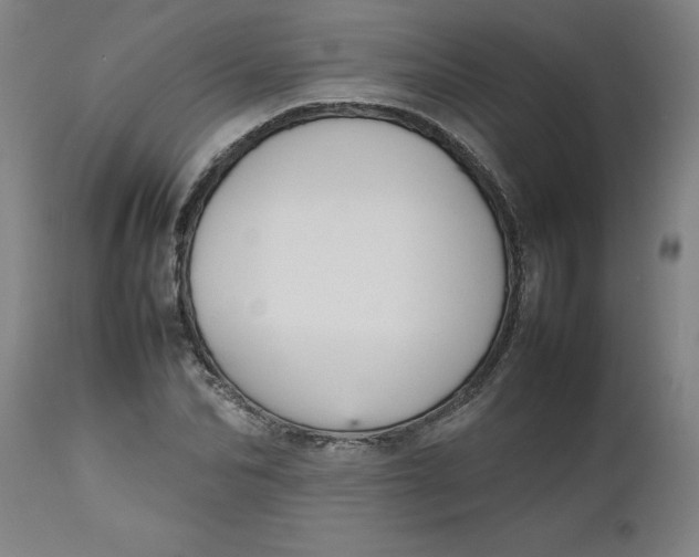 X0000112470974200909071129